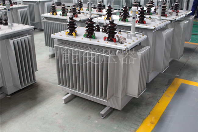 驻马店S22-100KVA/10KV/0.4KV变压器